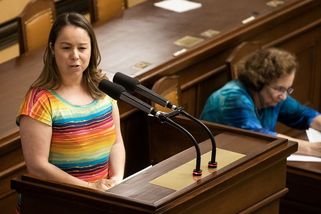Bojovníci za manželství pro všechny si naběhli. Kampaní naštvali poslance - Seznam Zprávy